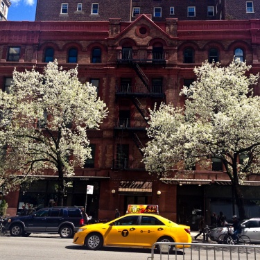 Primavera a New York - il risveglio dei newyorkesi 